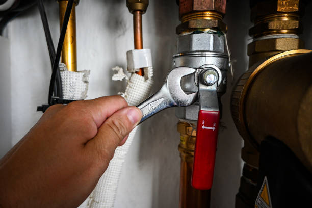 Best Local Plumber Services  in Kenilworth, PA